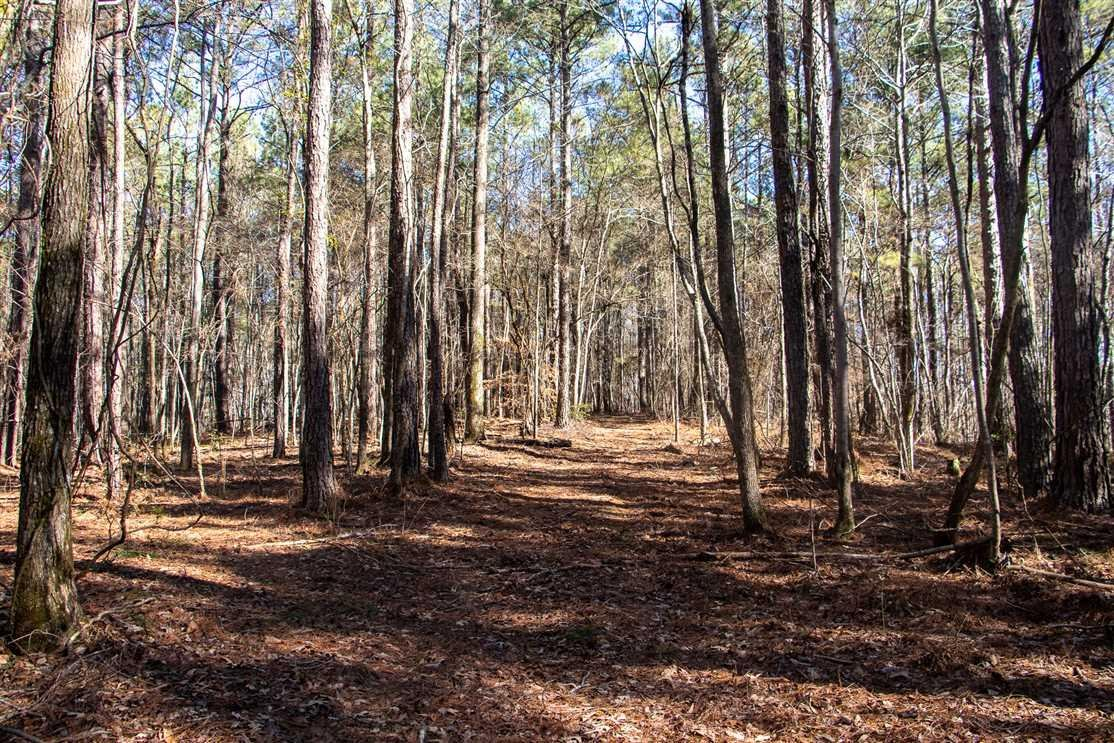 114 Acres Of Prime Hardwoods Hunting Tallapoosa County Alexander