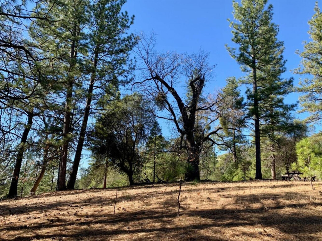 Ideally Picturesque Somerset CA El Dorado County Land For Sale 