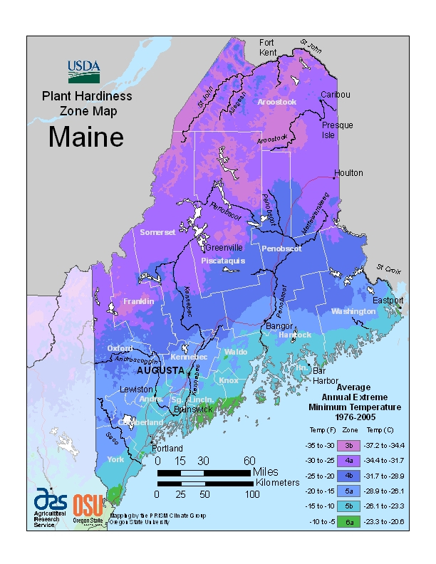 USDA Plant Hardiness Zone Map Cooperative Extension Garden Yard 